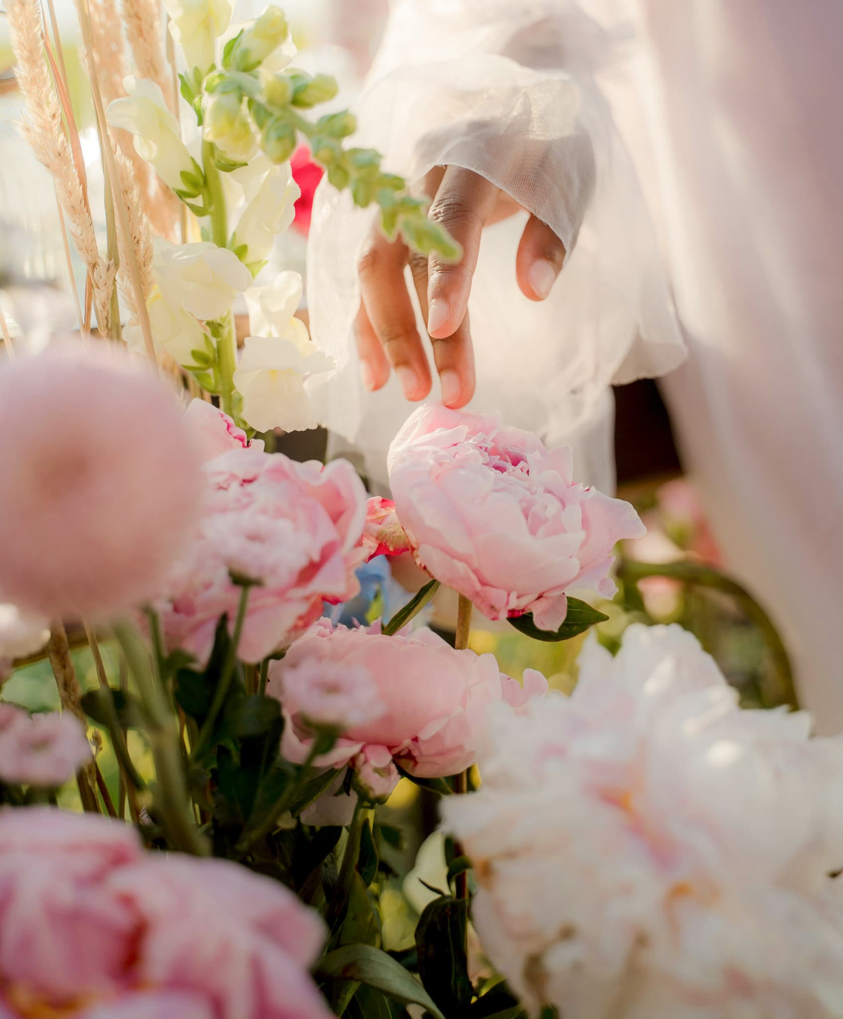 Close-up of a hand in a sheer white sleeve reaching toward pale pink peonies and garden blooms in warm sunlight
